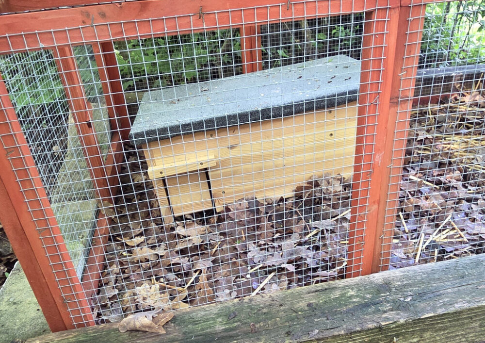 Bürgerverein unterstützt Tierschutz